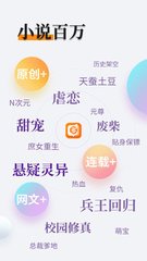 开云全站app登录官网